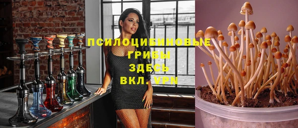 прущие грибы Алексин