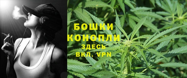 PSILOCYBIN Ростов