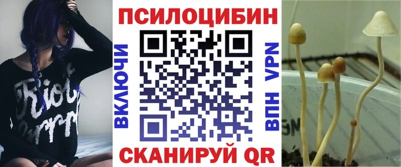 Псилоцибиновые грибы Psilocybine cubensis Комсомольск